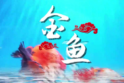 金魚歡躍，流光溢彩！_400.jpg
